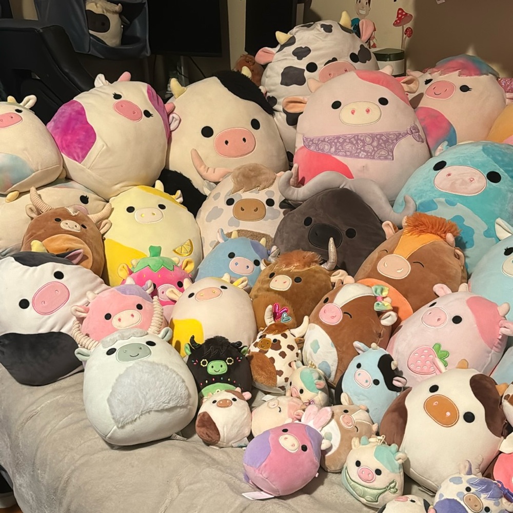 70 cow squishmallow bundle VERY RARE. - Picture 5 of 13